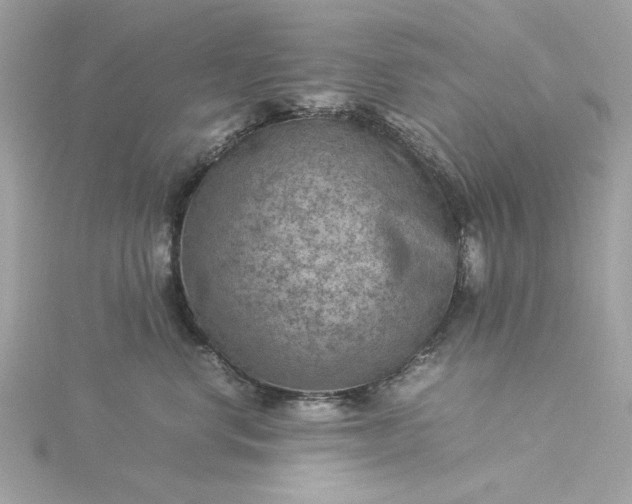 X0000116060668200912041855