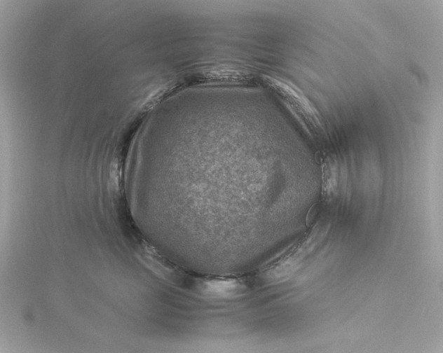 X0000116060669200912041855