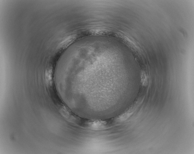 X0000116060670200912041855