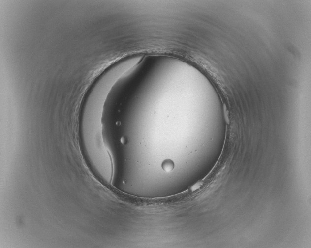 X0000116060673200912041854