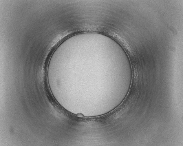 X0000116060674200912041854