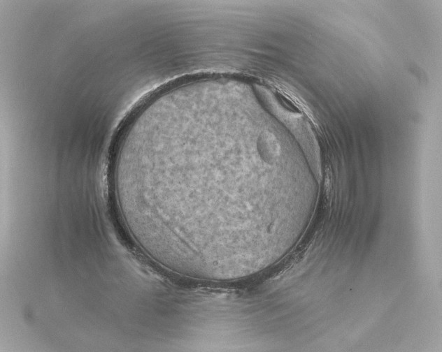 X0000116060676200912041854