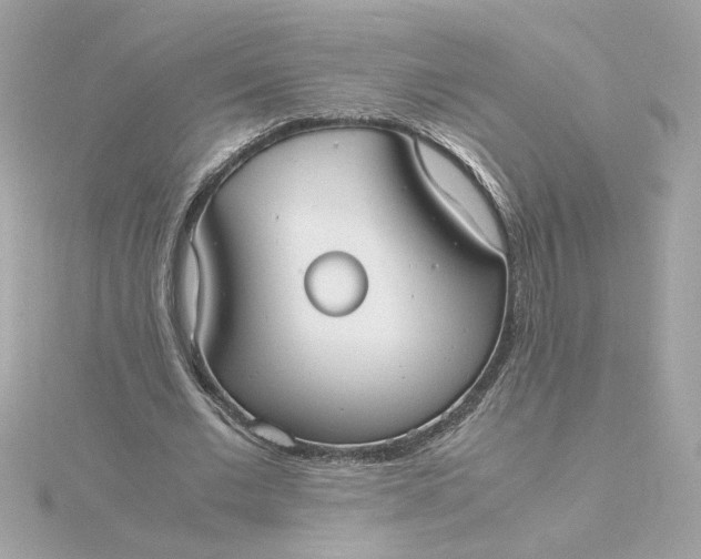 X0000116060677200912041854