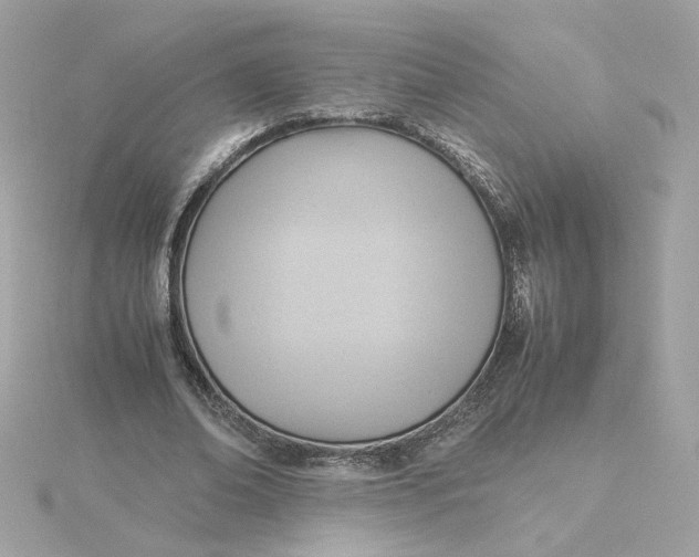 X0000116060678200912041854