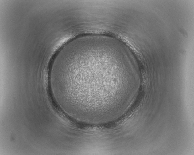 X0000116060679200912041854