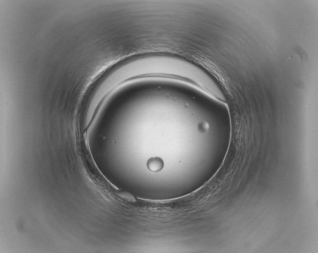 X0000116060680200912041854