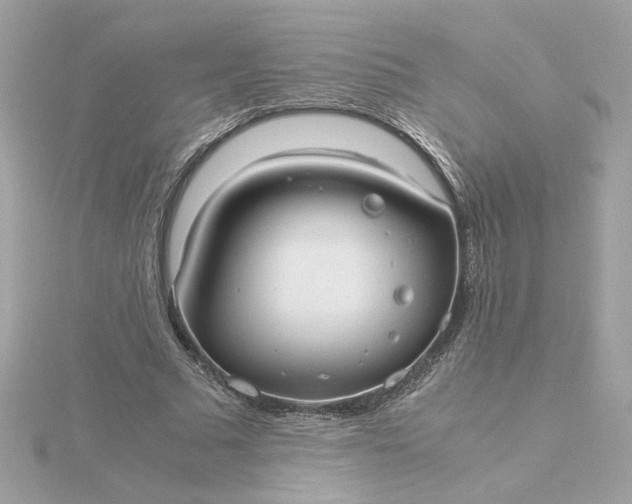 X0000116060681200912041854