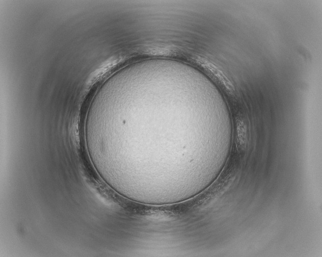 X0000116060682200912041854