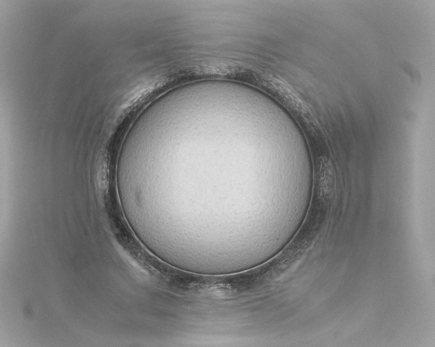 X0000116060683200912041854