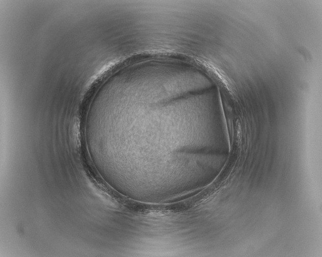 X0000116060684200912041854