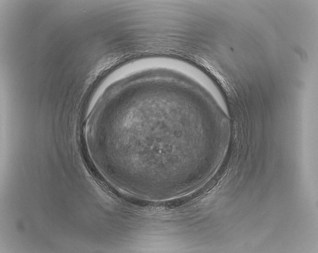 X0000116060685200912041854