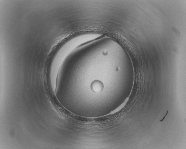 X0000116060688200912041854