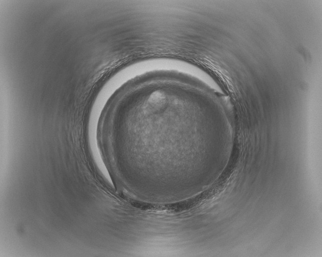 X0000116060689200912041854