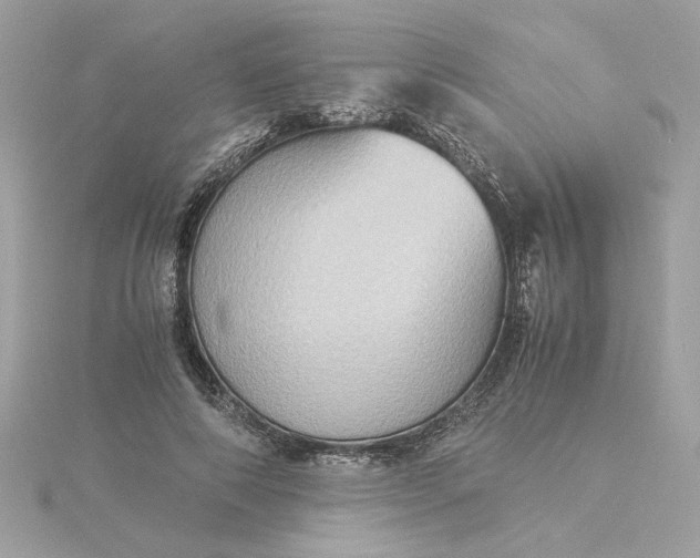 X0000116060690200912041854