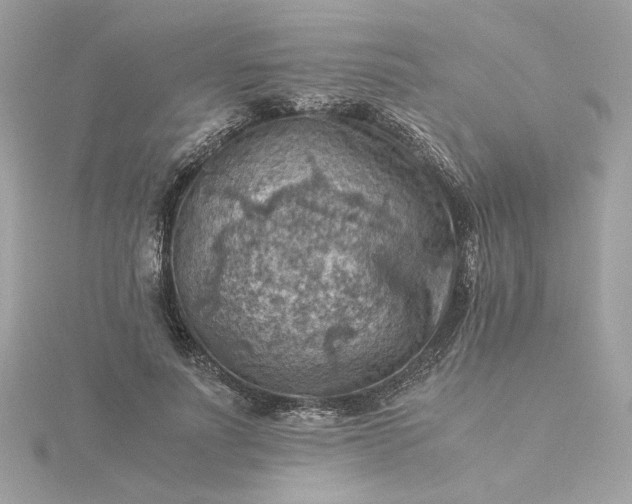 X0000116060691200912041854