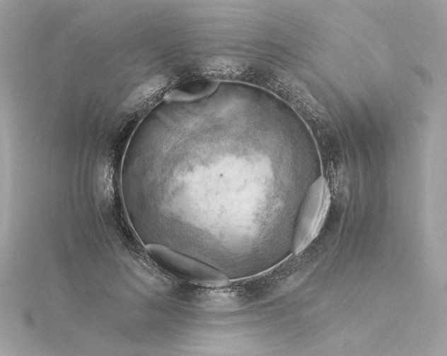 X0000116060692200912041854