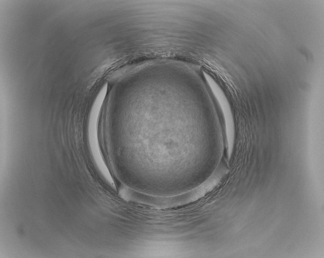 X0000116060693200912041854