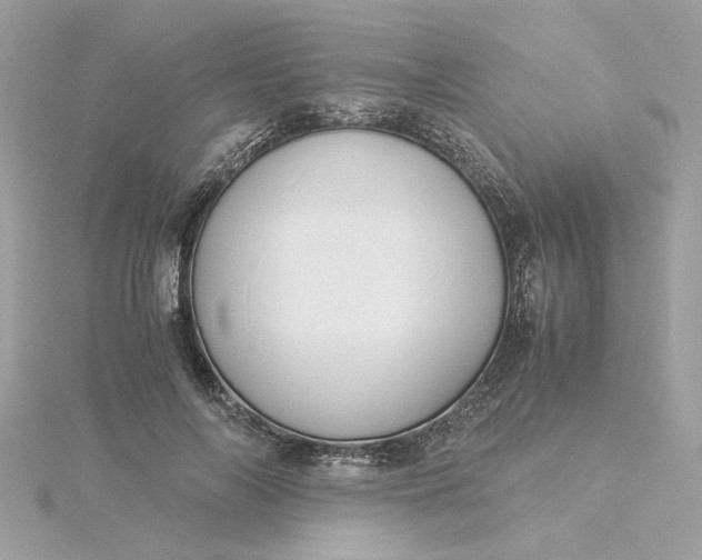 X0000116060694200912041854