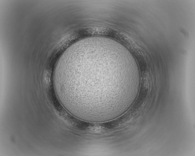 X0000116060695200912041854