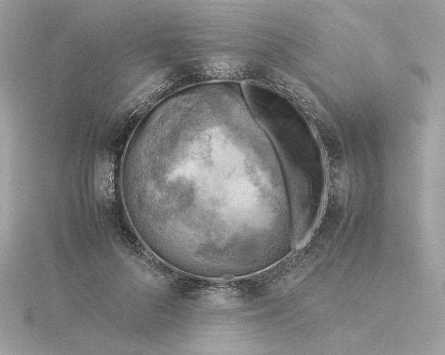 X0000116060696200912041854