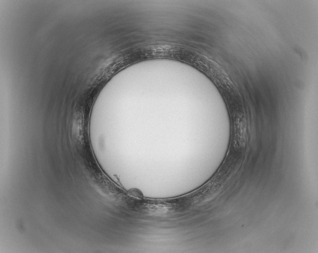 X0000116060698200912041854