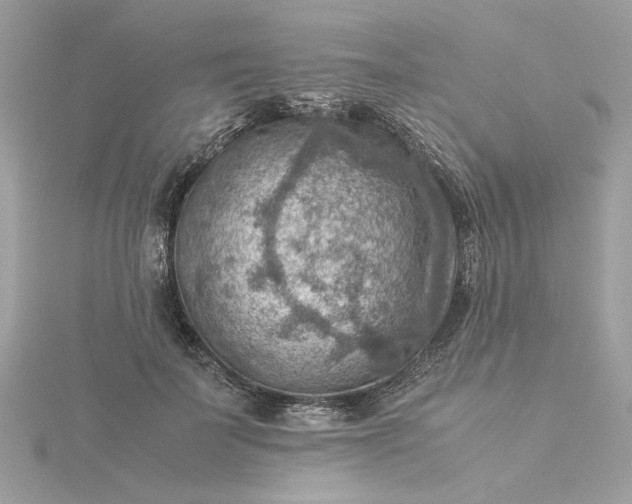 X0000116060699200912041854