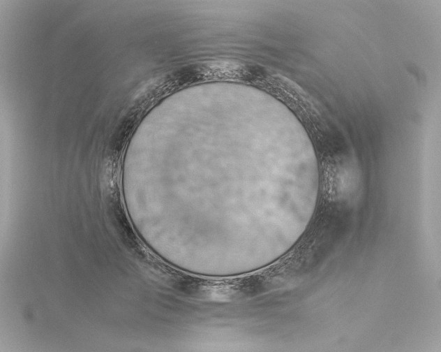 X0000116060701200912041854