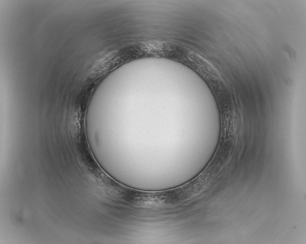 X0000116060702200912041854