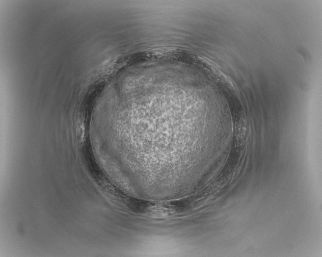 X0000116060703200912041854