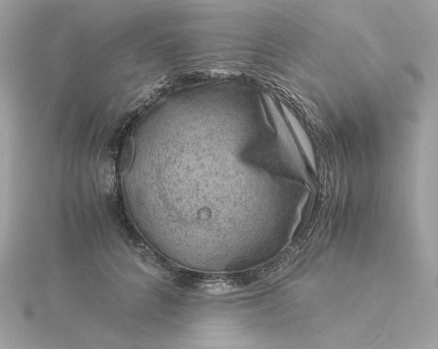 X0000116060704200912041854