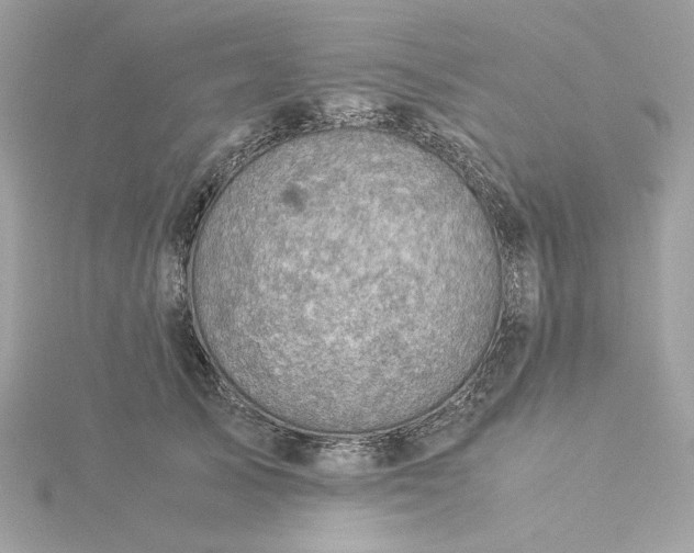 X0000116060705200912041854