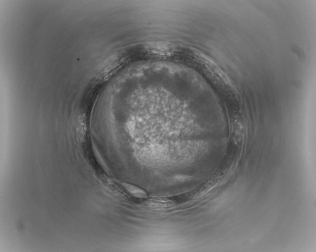 X0000116060707200912041854