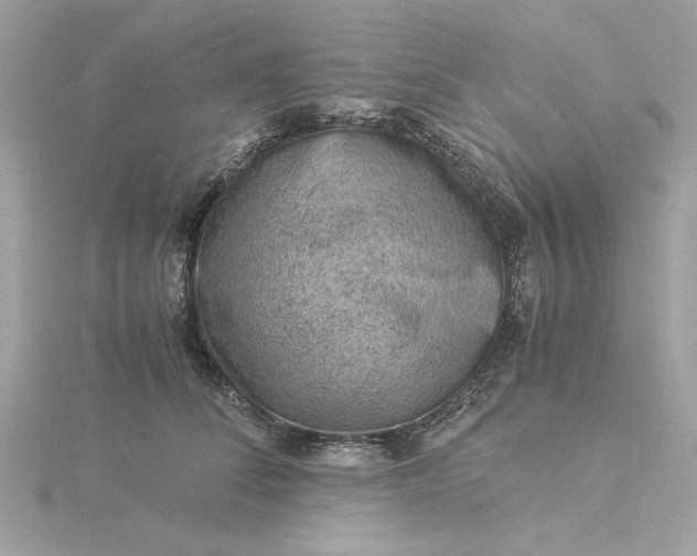 X0000116060708200912041854