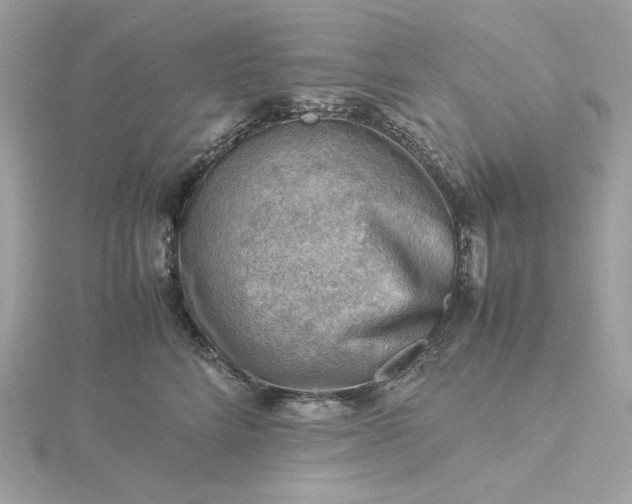 X0000116060712200912041854