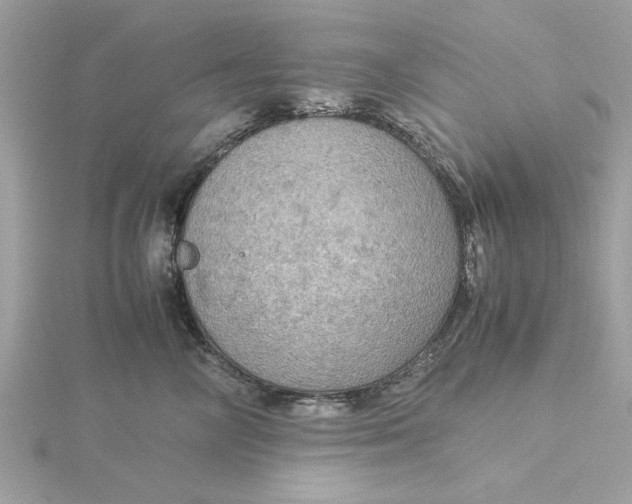 X0000116060714200912041854