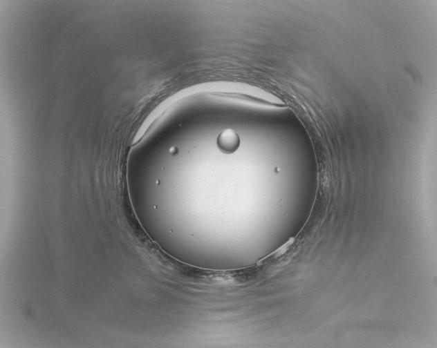 X0000116060715200912041854