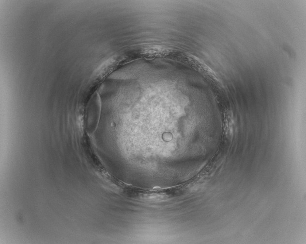 X0000116060716200912041854