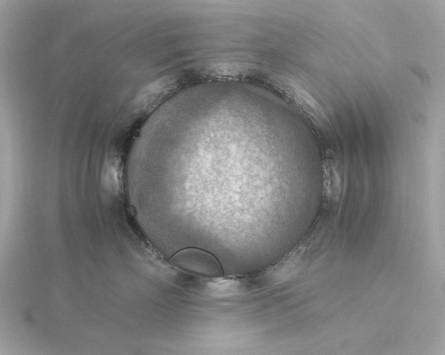 X0000116060718200912041854