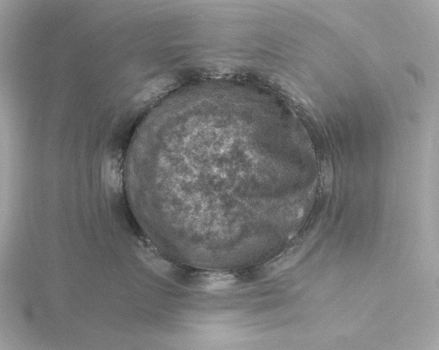 X0000116060719200912041854