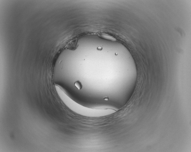 X0000116060720200912041854