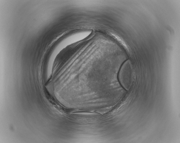 X0000116060722200912041853