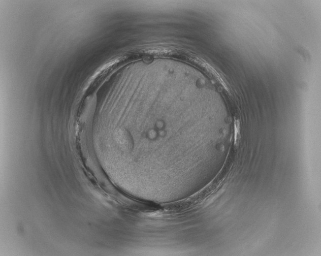 X0000116060723200912041853