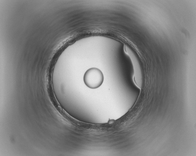 X0000116060725200912041853