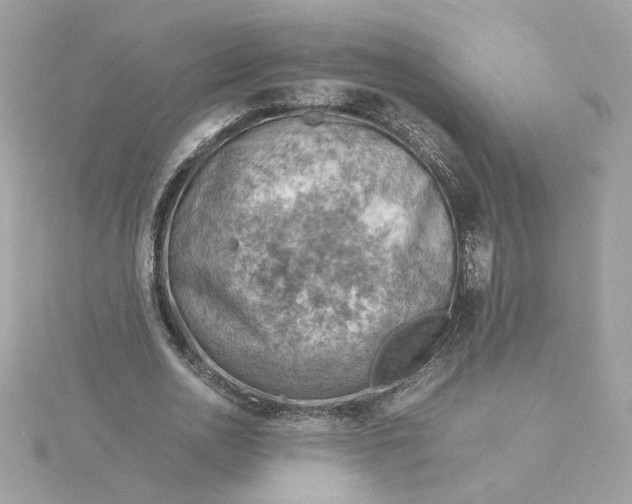 X0000116060726200912041853