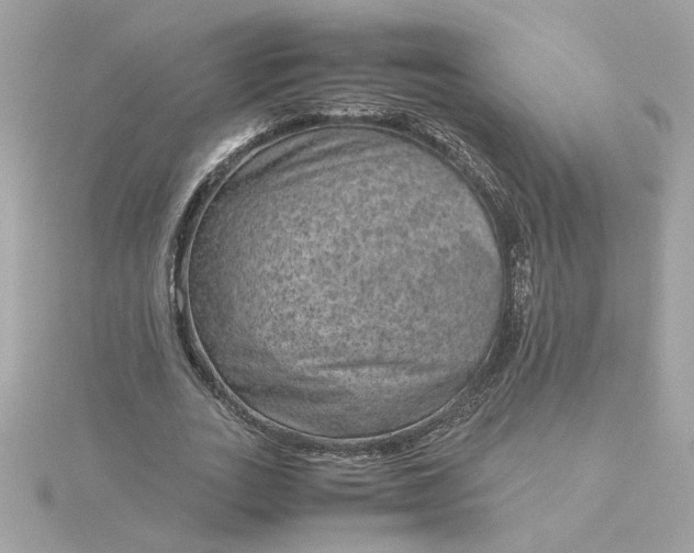 X0000116060727200912041853