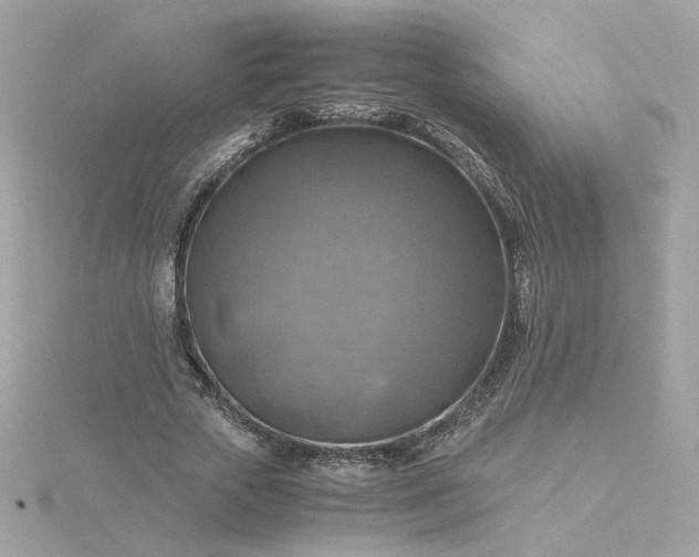 X0000116060729200912041853