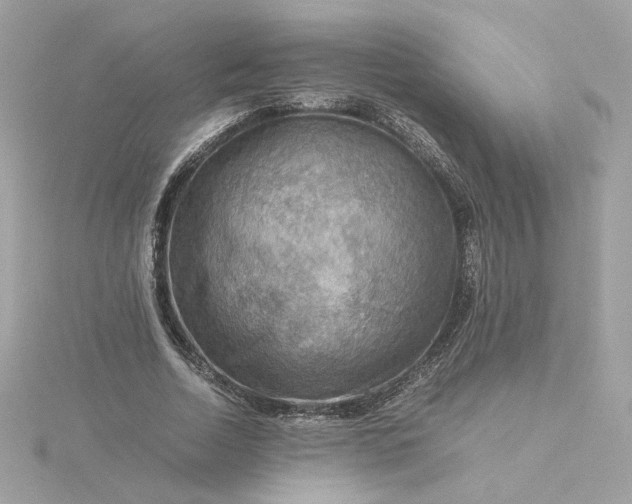 X0000116060730200912041853