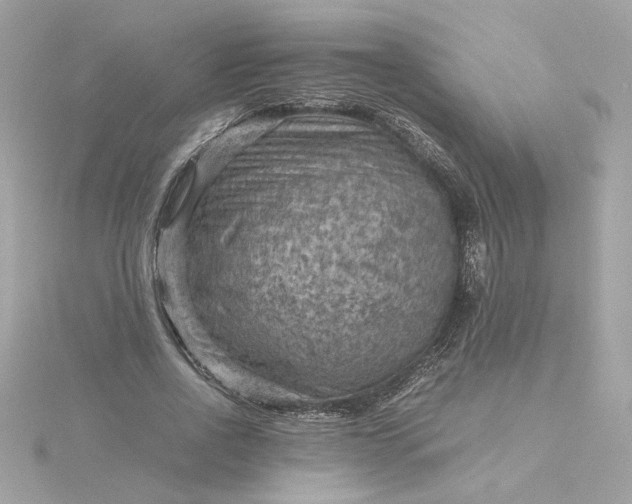 X0000116060734200912041853