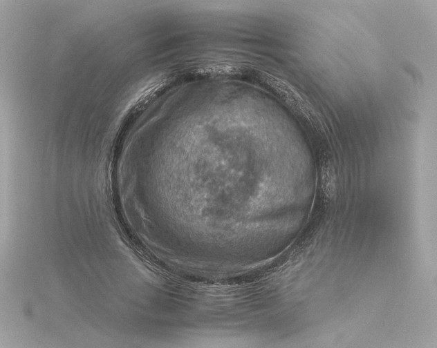 X0000116060735200912041853