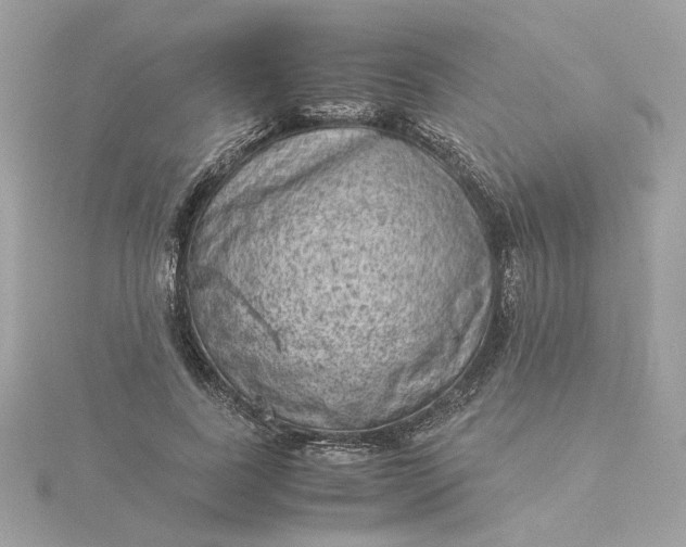 X0000116060739200912041853